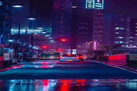 ˾