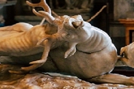 ðٻ˾