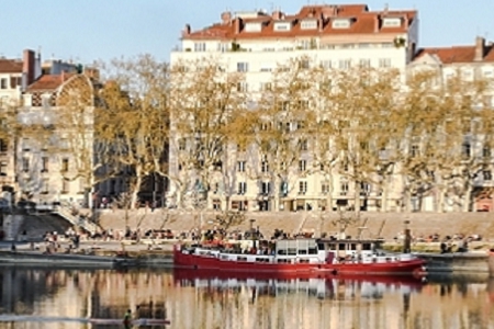 ˾ֲοȫ