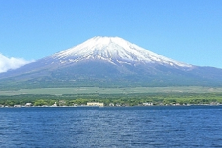 ˾ȡʻٺ