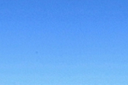 ǲ˾