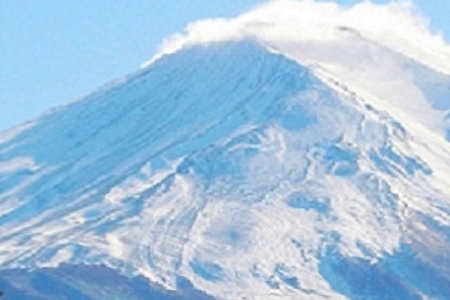 Ļ˾